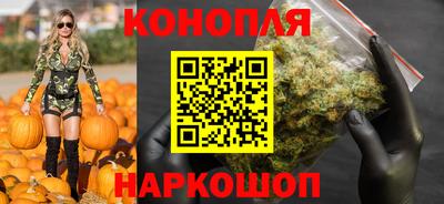 jwh Будённовск