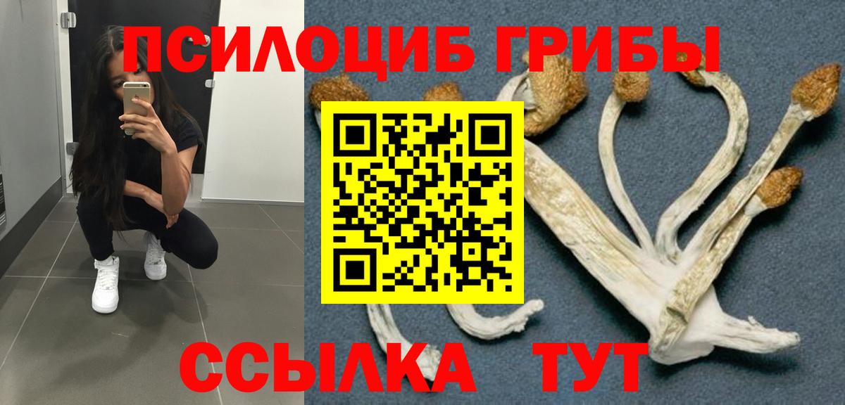 Псилоцибиновые грибы GOLDEN TEACHER Майский