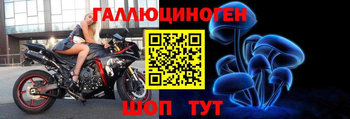купить закладку  Галлюциногенные грибы прущие грибы  Вход с VPN  Майский 